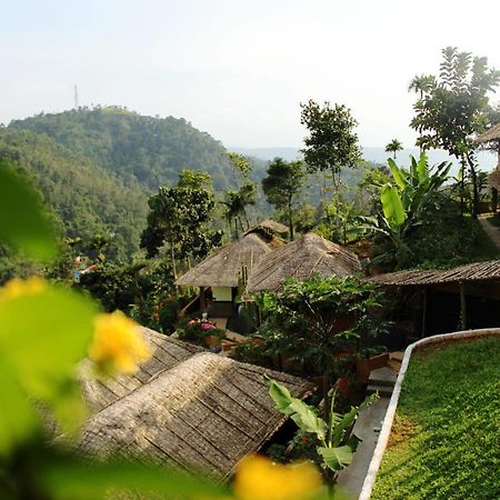 Hotel Eco Tones Munnar Esterno foto